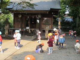 日大幼稚園どんぐり拾い