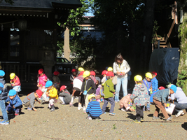 日大幼稚園どんぐり拾い