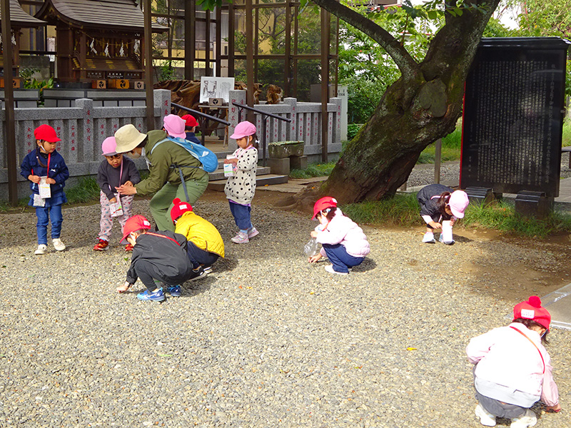 どんぐりひろい